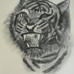 Tigre au fusain